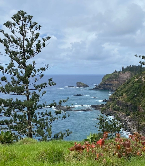 bulleen heights probus club norfolk island