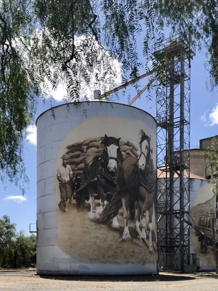 North East VIC Art Trail - Goorambat Silos gc