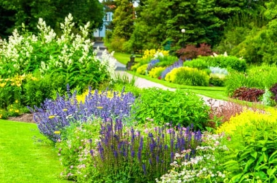 Bulleen Heights probus club historical gardens