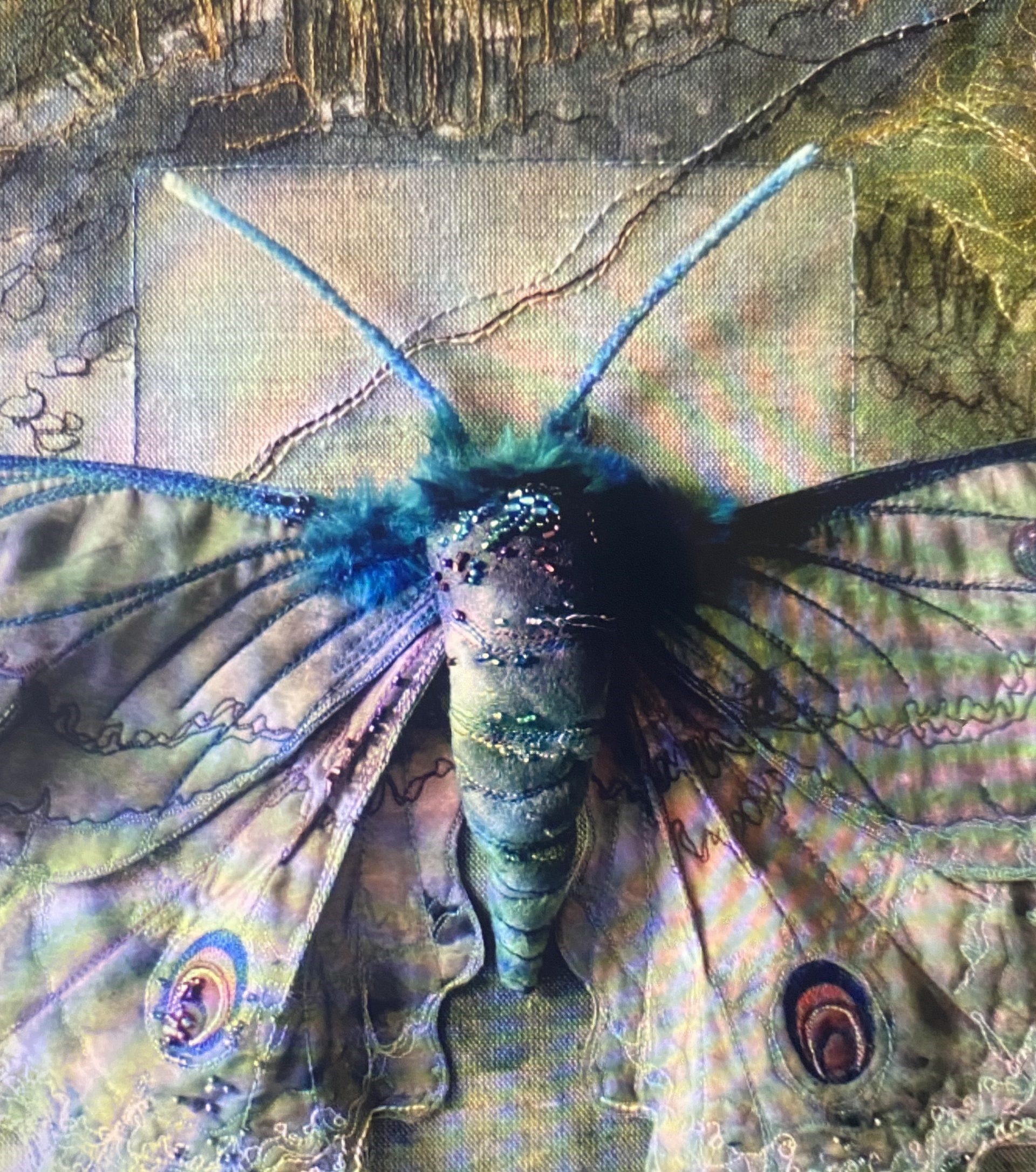 Annemeikein Exhbition (Butterfly